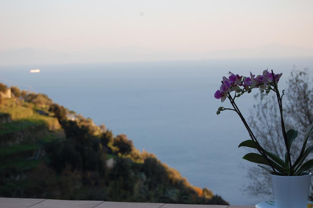 Tenuta Mamma Carmela Amalfi Kültér fotó
